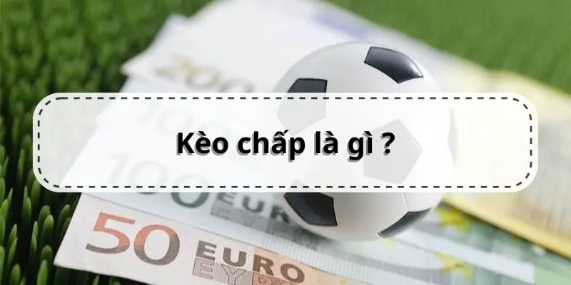 https://av77999.com/
